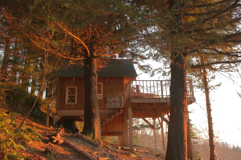 Treehouse You Can Rent In Oregon - The Bluebird Oregon Treehouse