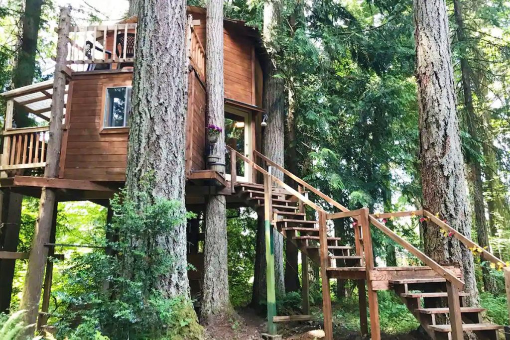 Treehouse to rent in the Pacific Northwest -AirbnbTree Washington Treehouse