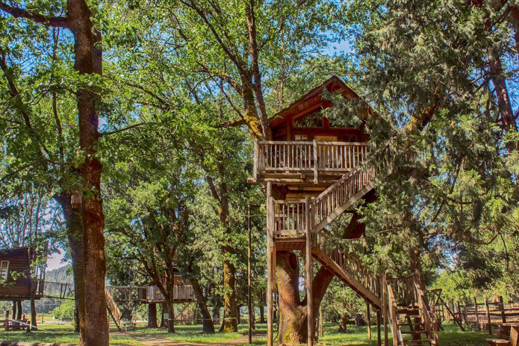 Treehouses You Can Rent In Oregon - Peacock Perch Treehouse