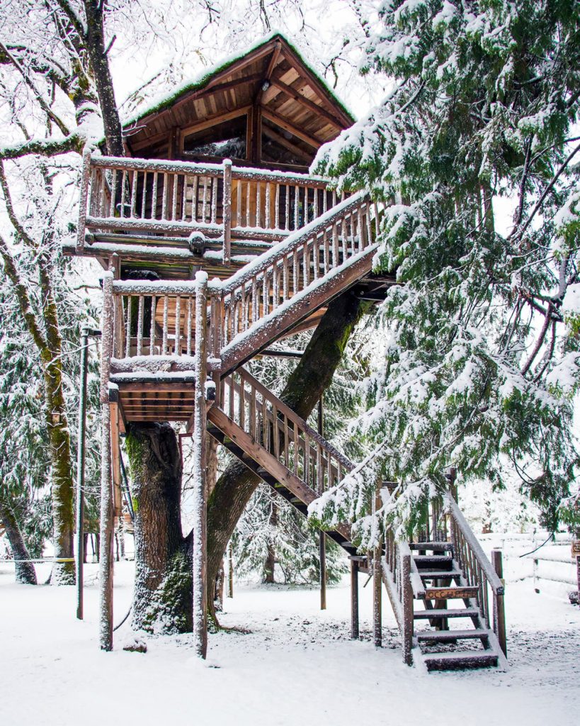 Treehouses You Can Rent In Oregon - Peacock Perch Treehouse Winter