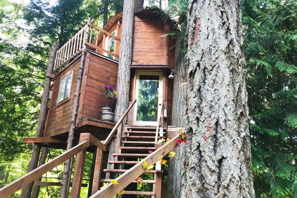 Treehouses to rent in the Pacific Northwest -AirbnbTree Washington Treehouse
