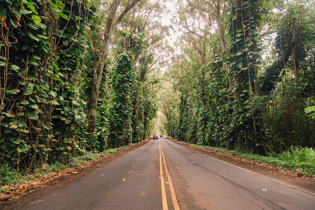 Kauai Hawaii Travel Guide - Best Kauai Beaches - South Shore