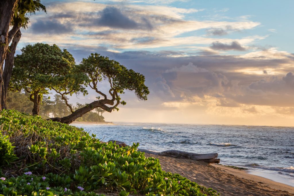 Where To Stay in Kauai