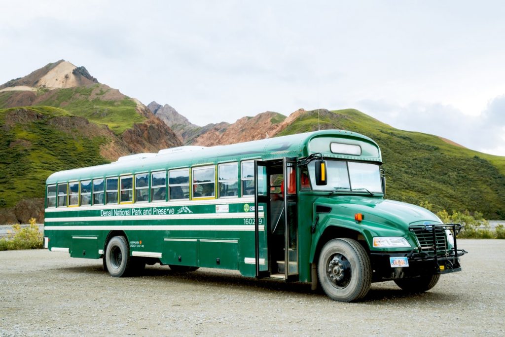 Denali School Bus Tour