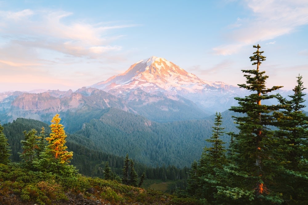 Best National Parks to Visit in Summer - Mount Rainier National Park