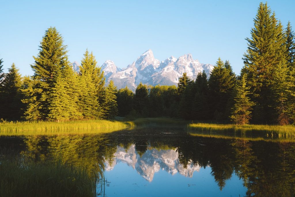 Ultimate Yellowstone National Park Guide and Itinerary - Schwabacher Landing