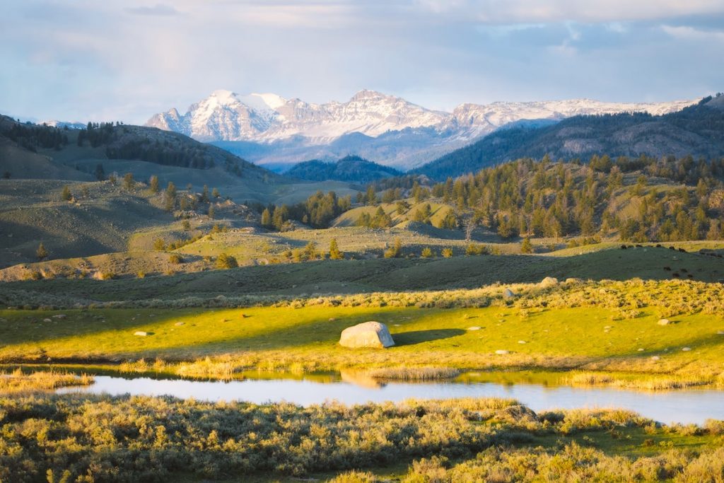 Ultimate Yellowstone To Grand Teton Road Trip Itinerary - Lamar Valley