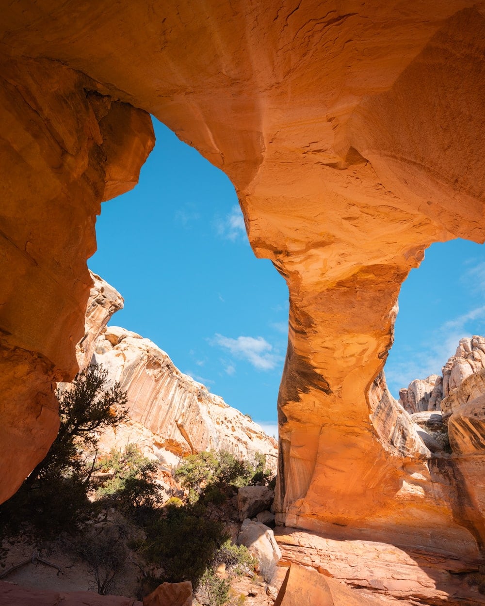 5 Best Hikes In Capitol Reef National Park Utah Renee Roaming