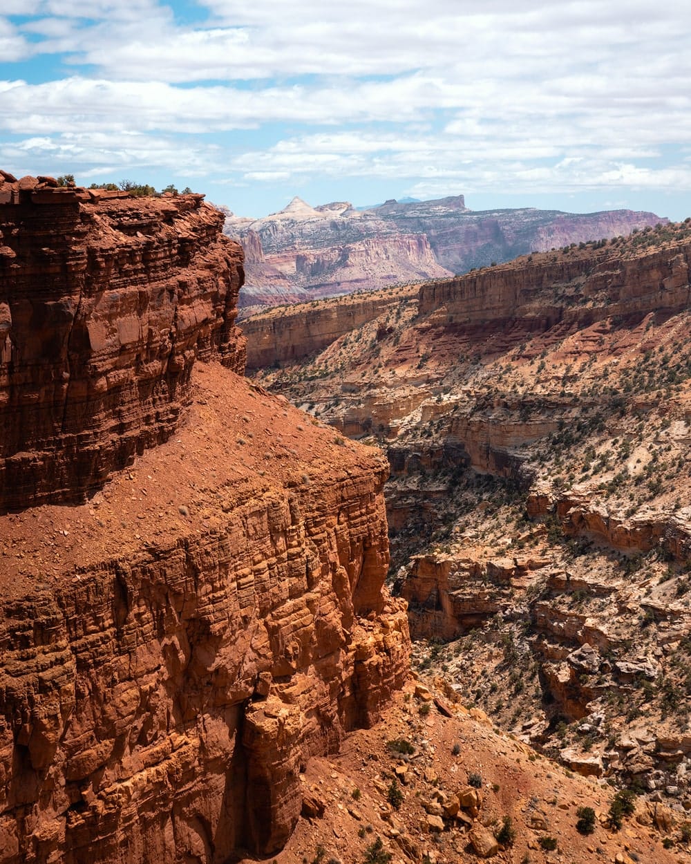 Best Hikes In Capitol Reef National Park Utah Renee Roaming