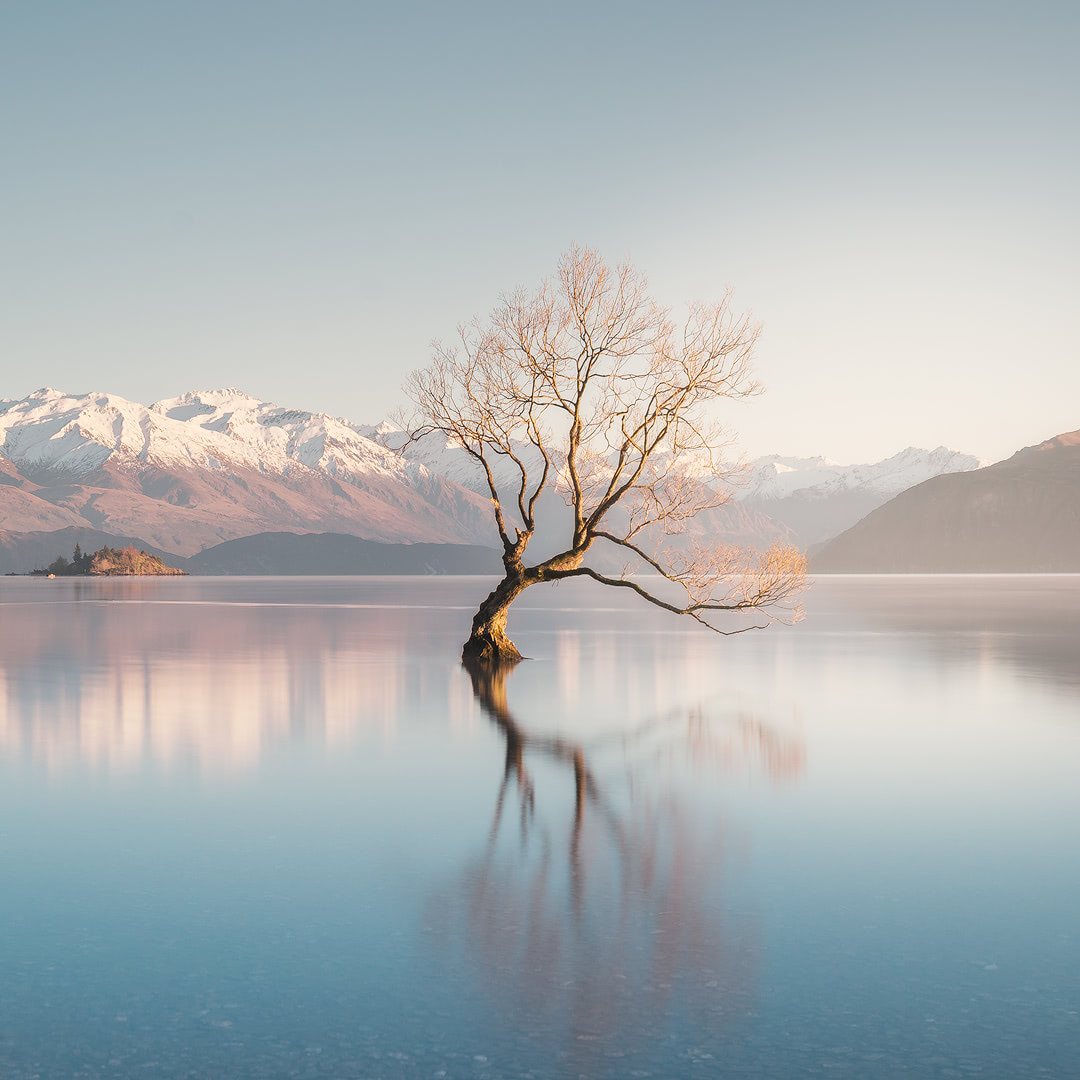 12 MUST SEE PLACES ON THE SOUTH ISLAND OF NEW ZEALAND - WANAKA TREE SUNRISE PHOTOGRAPHY
