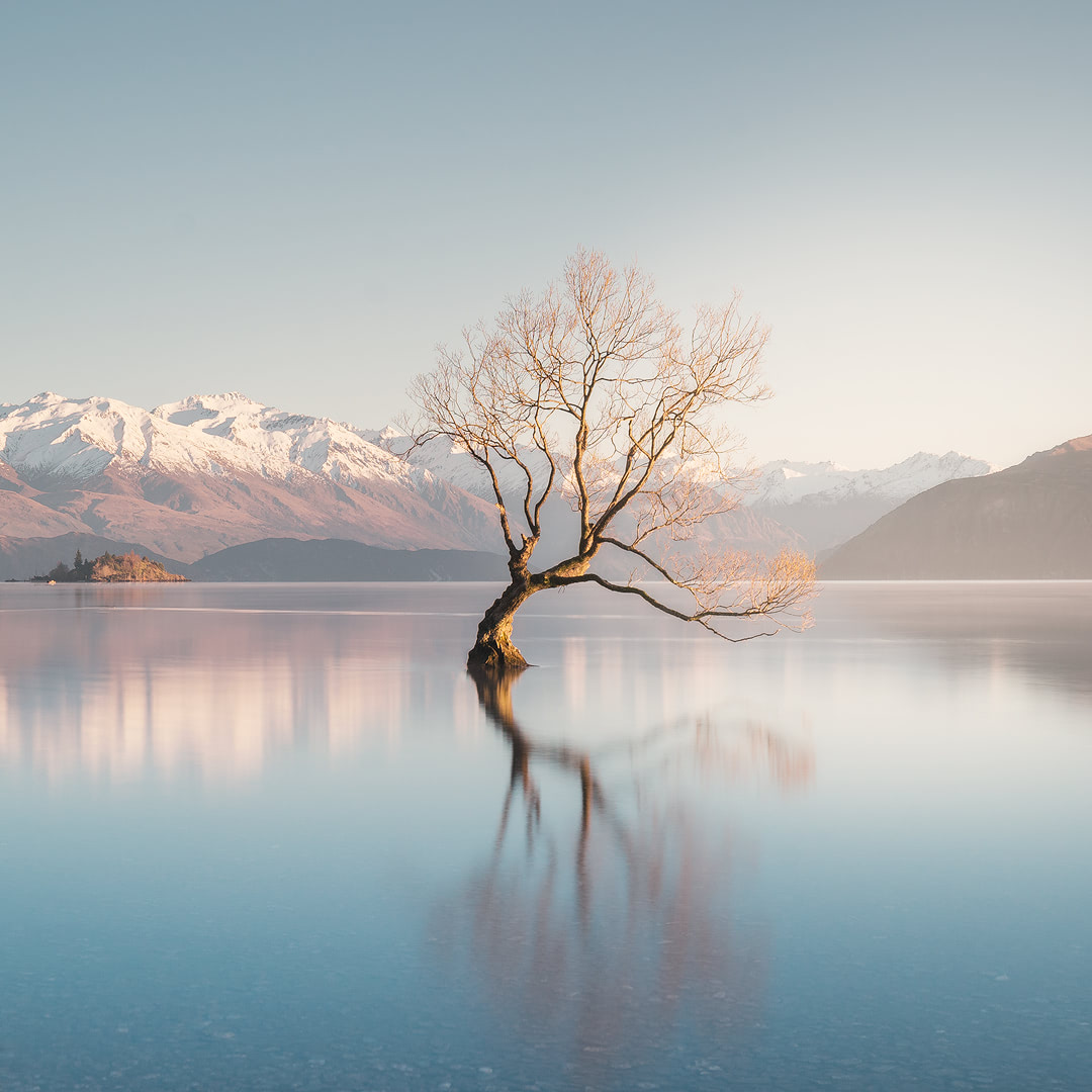 12 Must See Places On The South Island Of New Zealand - Renee Roaming