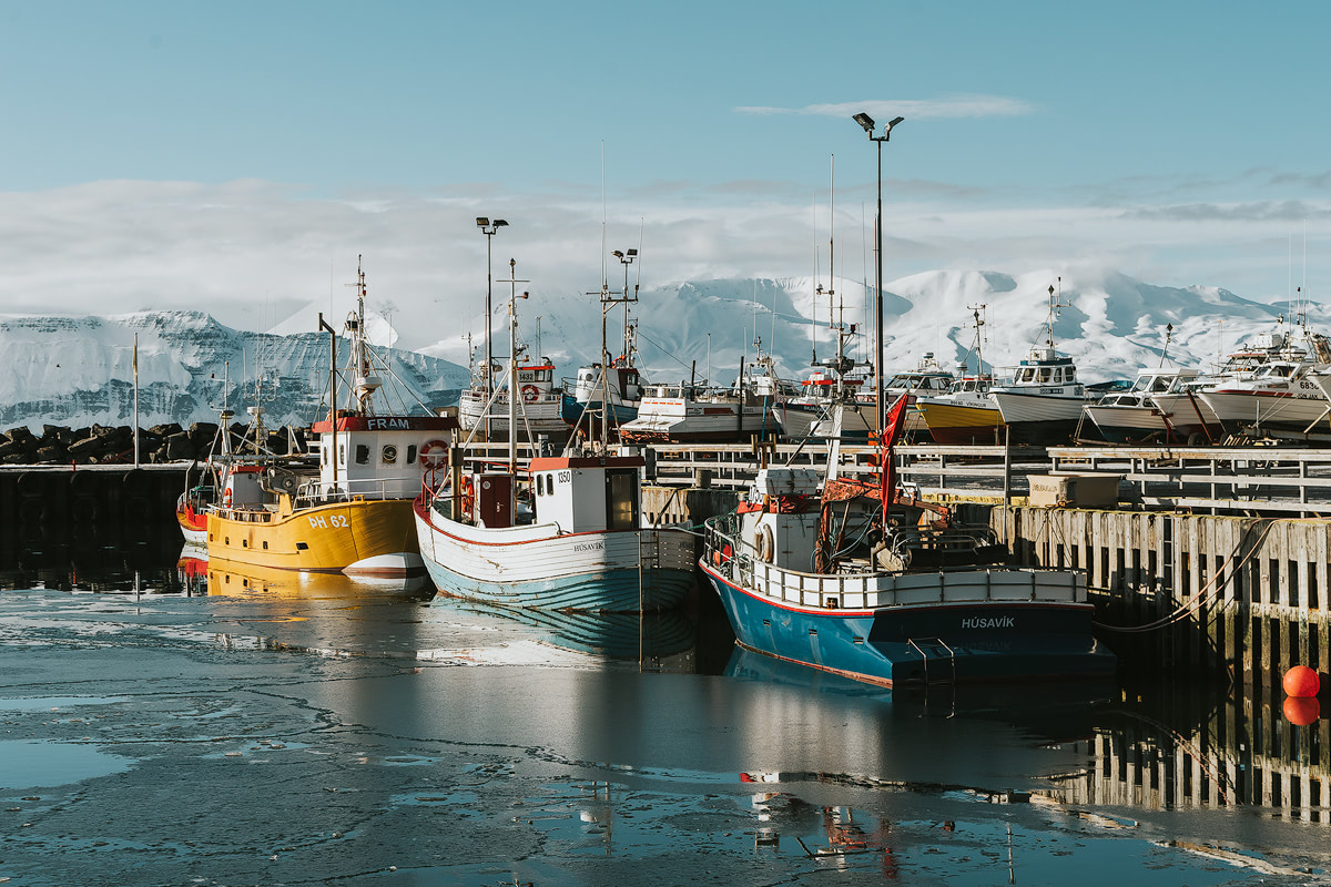 Iceland, Husavik - Renee Roaming