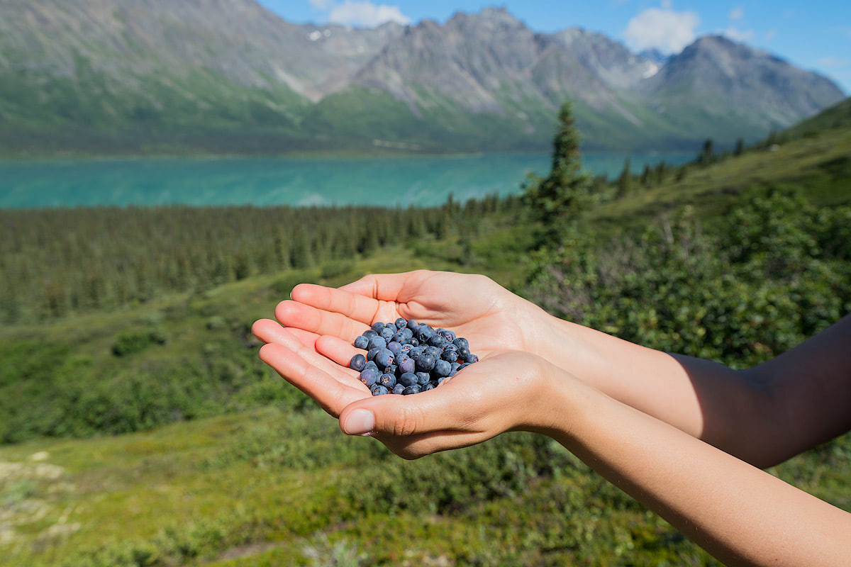 The best national park in America? A guide to Lake Clark National Park