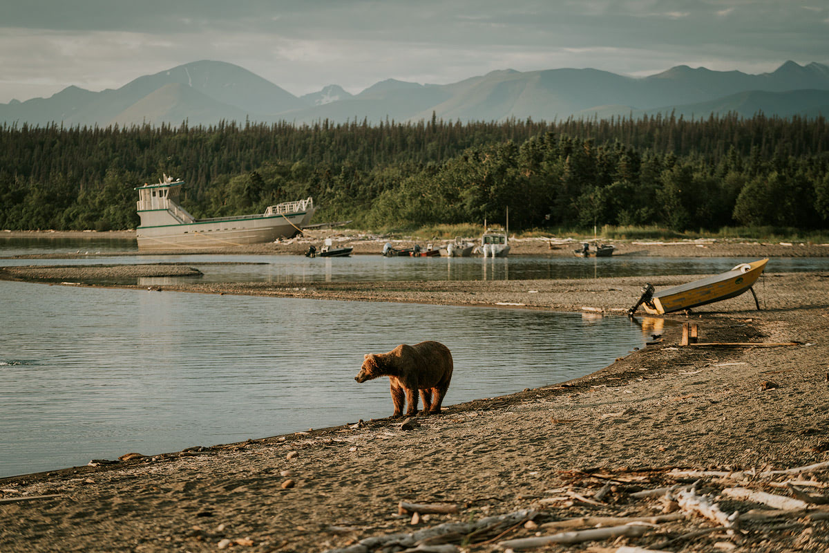 Exploring bear country - Katmai National Park