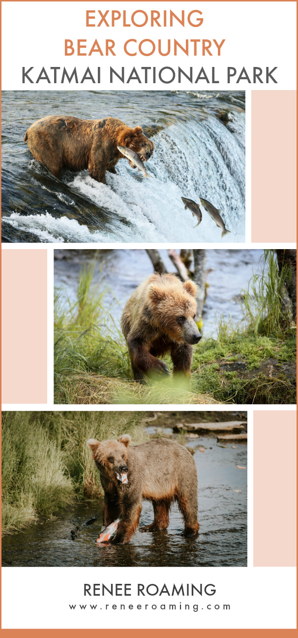 Exploring bear country - Katmai National Park