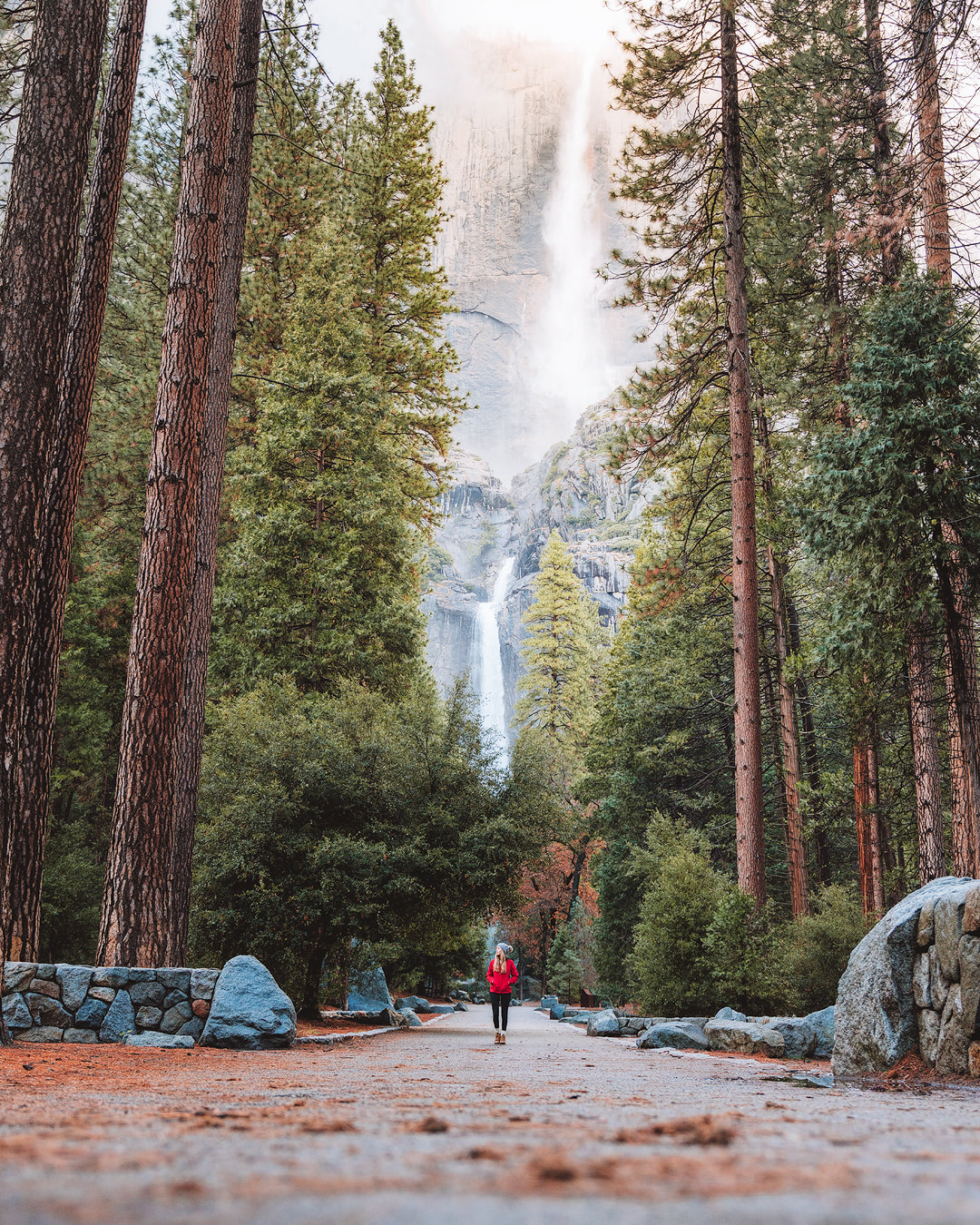 Renee Roaming WINTER CALIFORNIA ROAD TRIP – REDWOODS & YOSEMITE