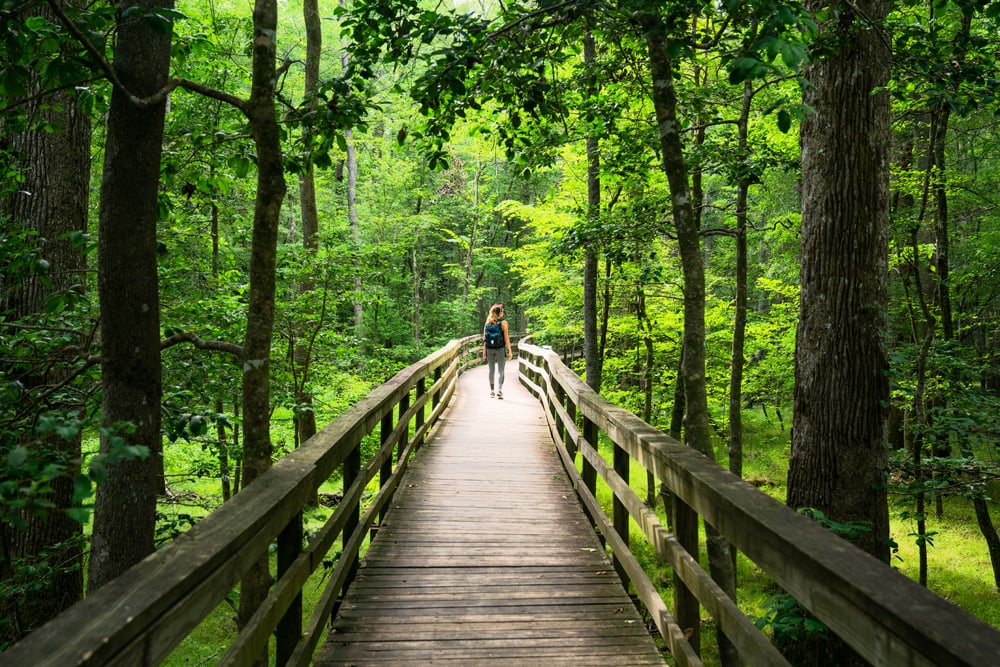 America's National Parks - Ranked Best to Worst - Congaree National Park
