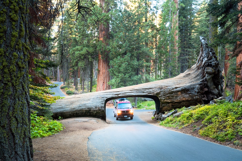 America's National Parks - Ranked Best to Worst - Sequoia National Park