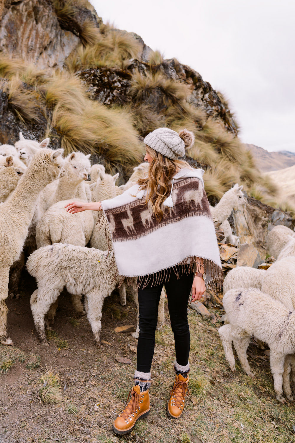 Best-Things-To-Do-In-And-Around-Cusco-Peru-Llama-Blessing1