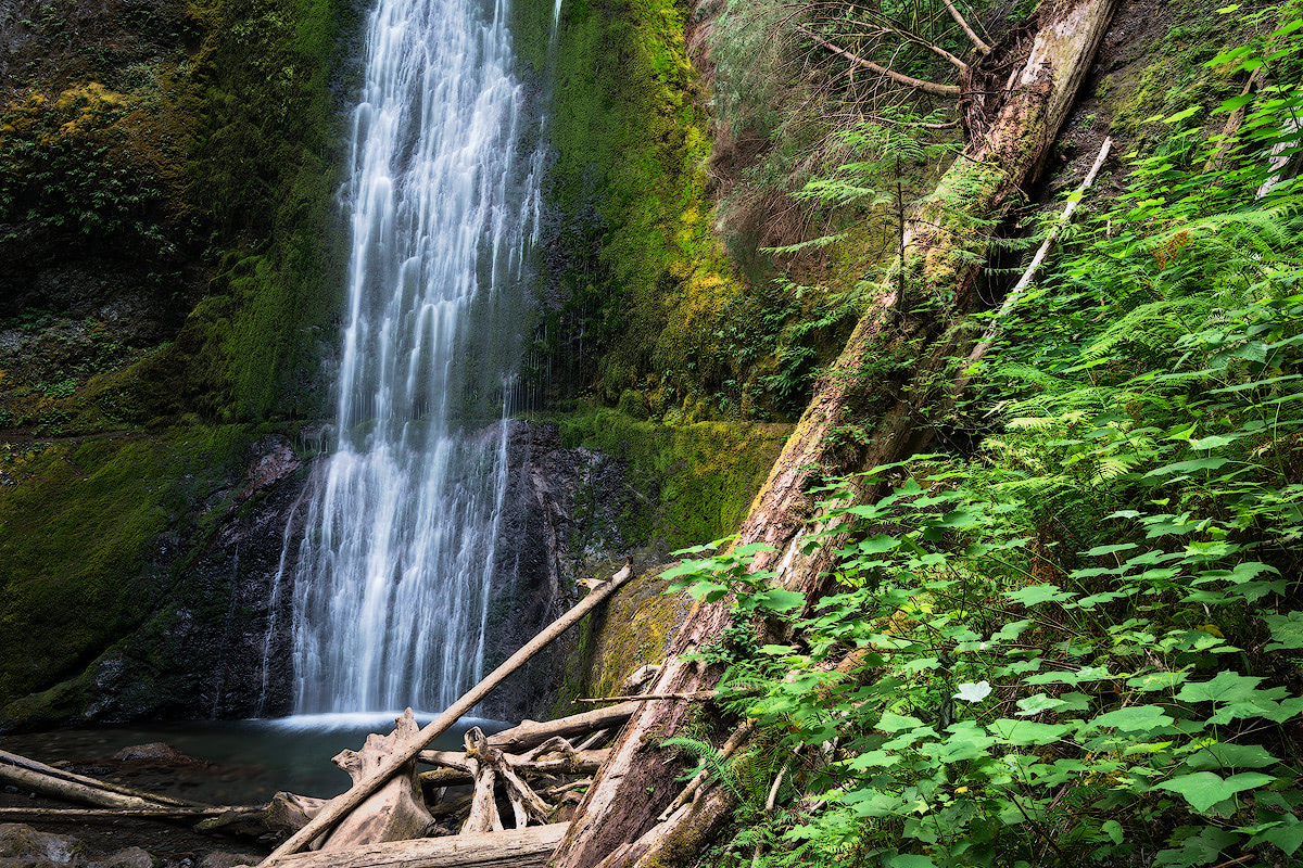 Olympic National Park Guide Hike Marymere Falls