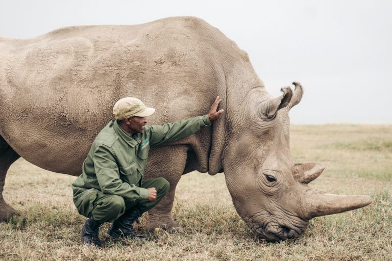 Ultimate Safari Adventure at Ol Pejeta Conservancy, Kenya