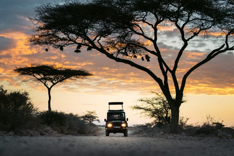 A Magical Stay at Ashnil Samburu Camp, Kenya - Renee Roaming