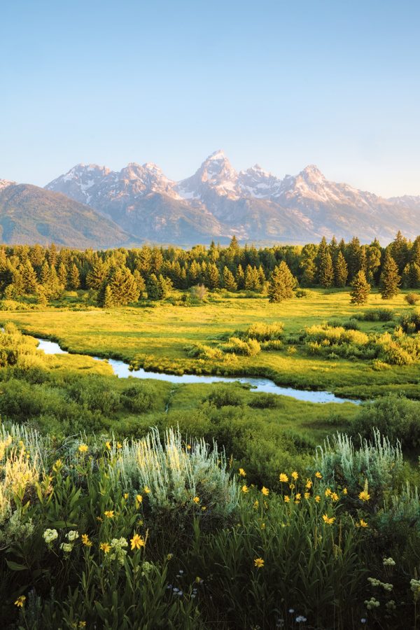 Grand Teton National Park: The Ultimate Guide - Renee Roaming