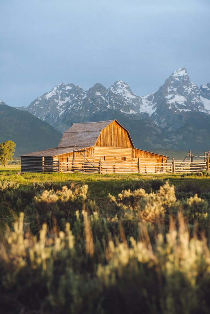 Grand Teton National Park: The Ultimate Guide - Renee Roaming