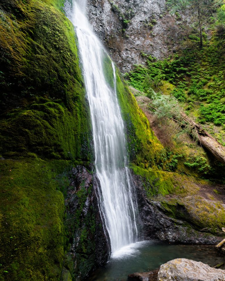 Beginner Hikes in Washington: 18 Incredible Spots - Renee Roaming