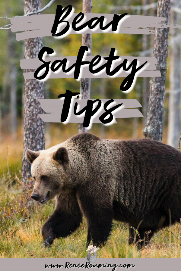 Bear Safety When Hiking And Camping - Renee Roaming