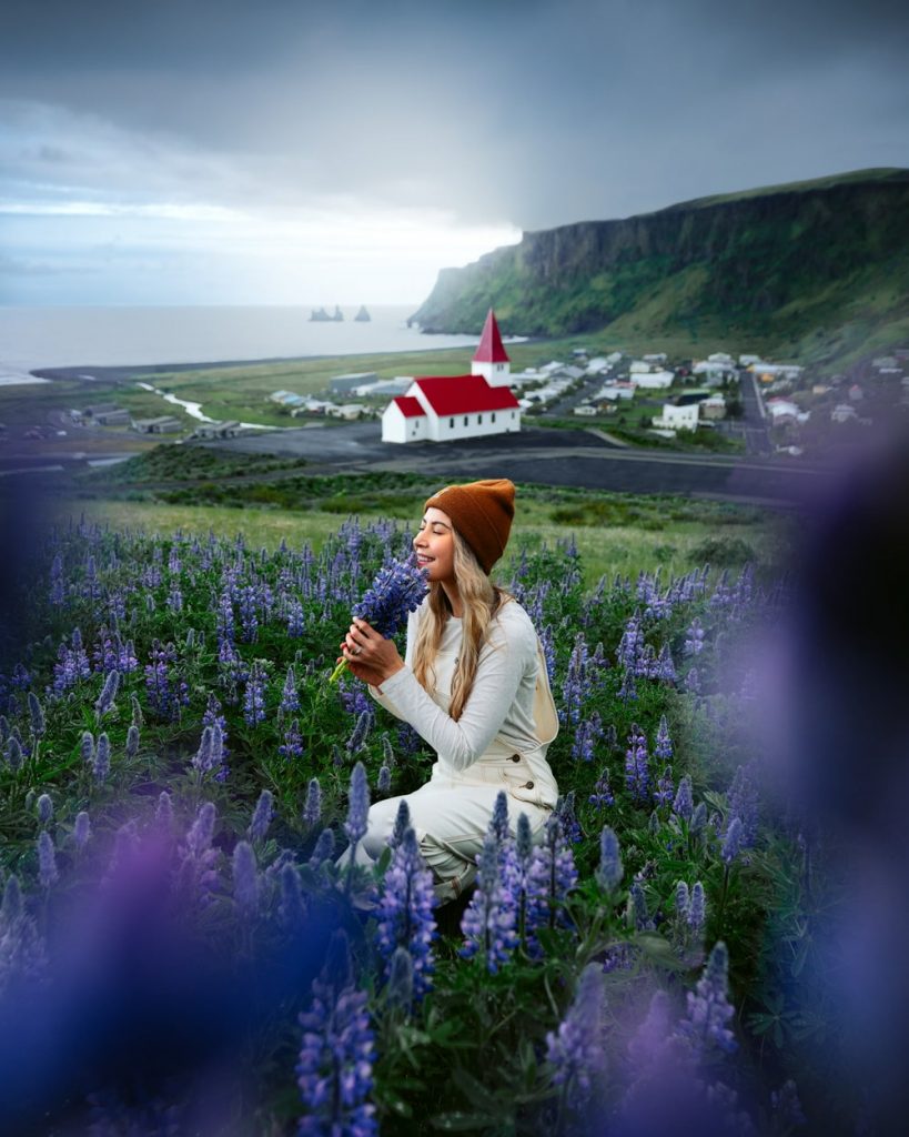 Incredible Iceland Road Trip Itinerary and Planning Guide - Vik Church Lupines