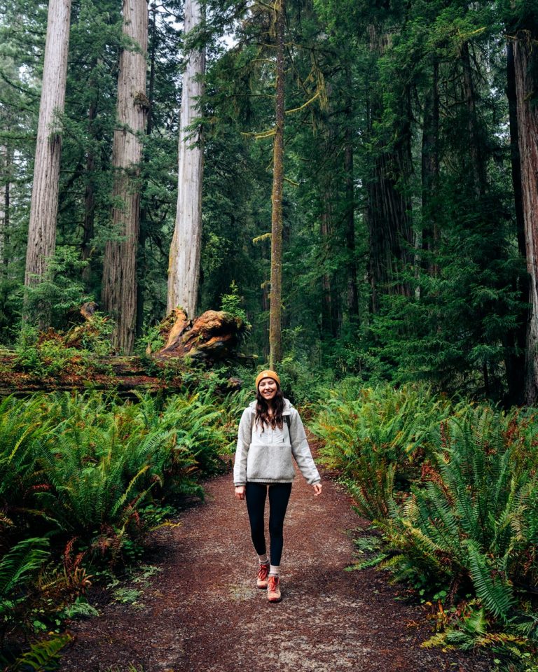 Ultimate Redwood National Park Itinerary And Guide - Renee Roaming