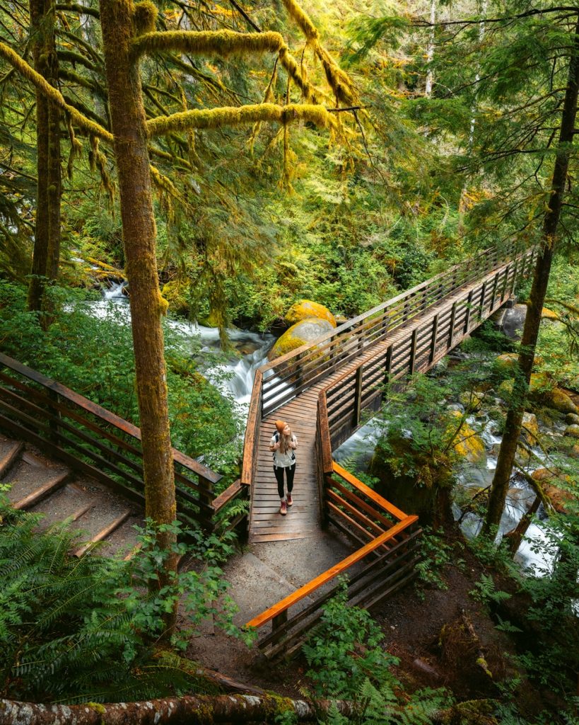 7 Best Hikes Near Seattle, Washington - Renee Roaming
