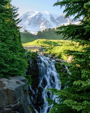 17 Breathtaking Hikes in Mount Rainier National Park, Washington ...