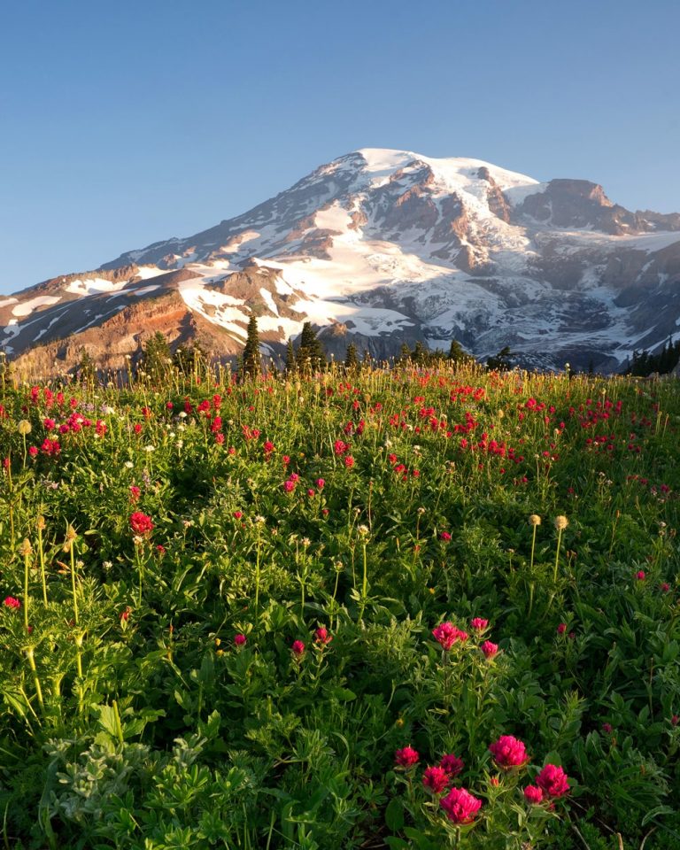 17 Breathtaking Hikes in Mount Rainier National Park, Washington ...