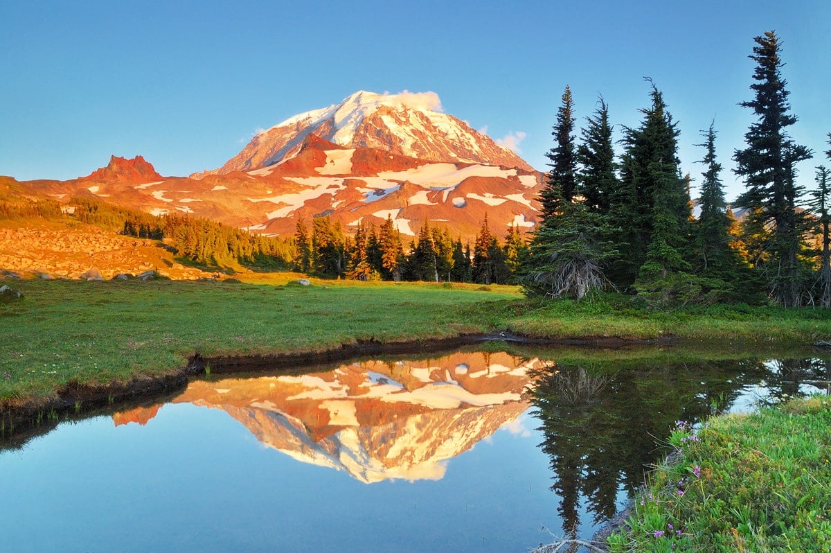 17 Breathtaking Hikes in Mount Rainier National Park, Washington ...